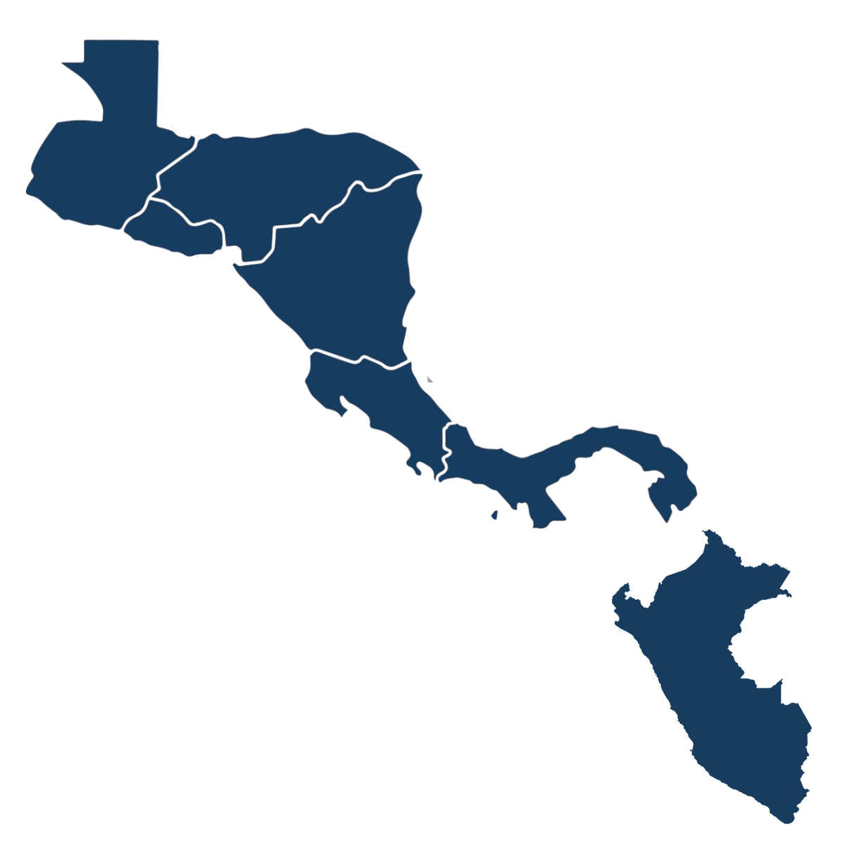Presencia Regional Grupo Net Solutions
