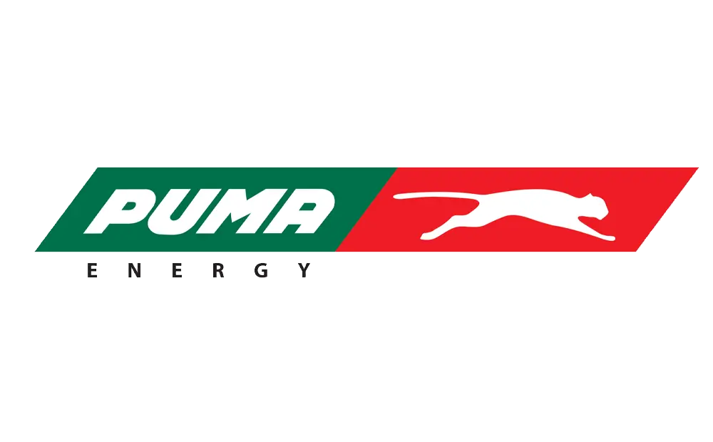 19 Puma 2
