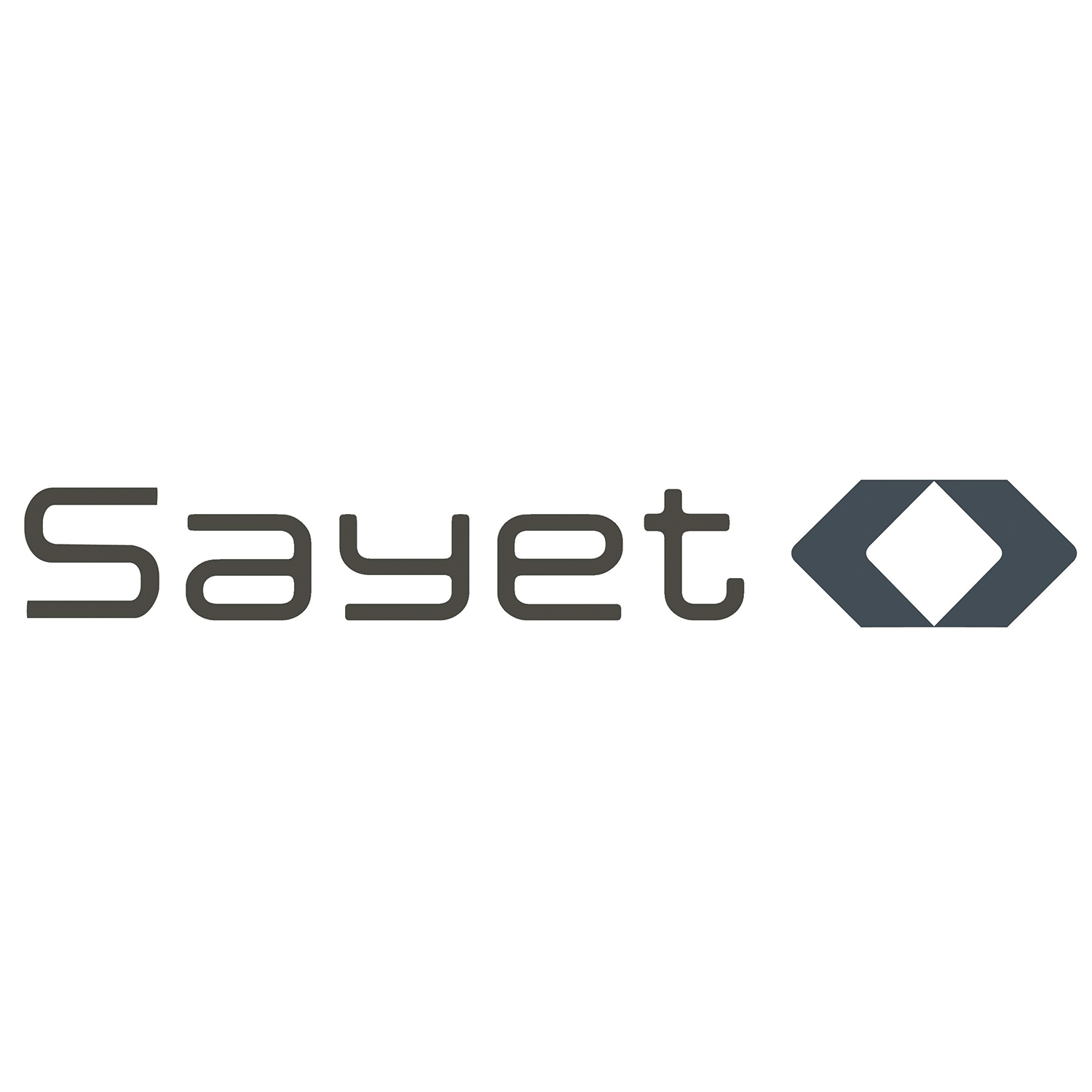 Logo Sayet Isracam